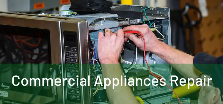 Commercial Appliances Repair 