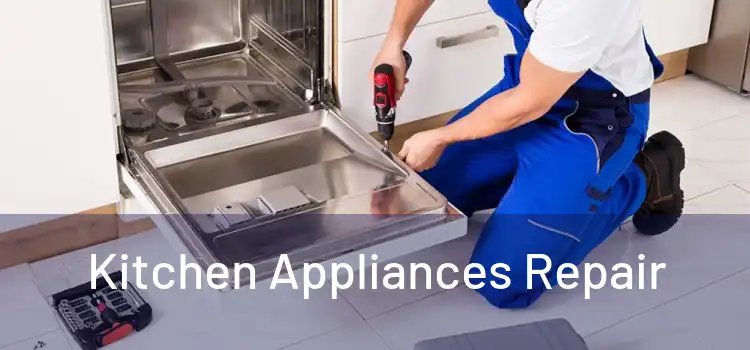 Kitchen Appliances Repair 